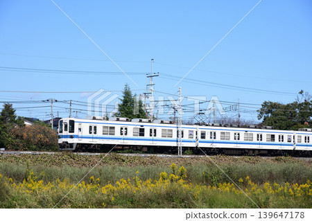 Tobu Urban Park Line 8000 series train and goldenrod Tobu Urban Park Line 8000 series train and goldenrod 139647178