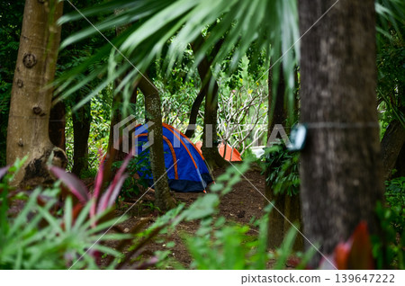 A tent in a public park with trees. A tent in the forest. Nature Park scene, leisure activity. A tent in a public park with trees. A tent in the forest. Nature Park scene, leisure activity. 139647222