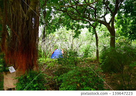 A tent in a public park with trees. A tent in the forest. Nature Park scene, leisure activity. A tent in a public park with trees. A tent in the forest. Nature Park scene, leisure activity. 139647223