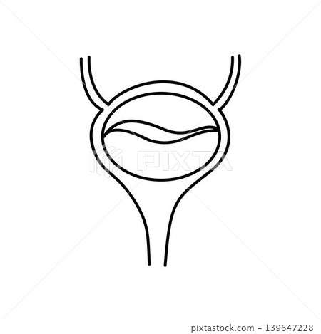 urinary bladder anatomy icon organ urinary bladder anatomy icon organ 139647228