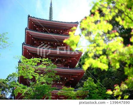 五台山竹林寺五層塔 五台山竹林寺五層塔 139647890