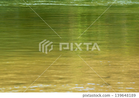 Autumn River: A clear stream flowing in the autumn sunlight 102 139648189