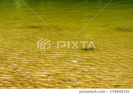 秋日溪流:秋日陽光下清澈的溪流 104 秋日溪流:秋日陽光下清澈的溪流 104 139648191