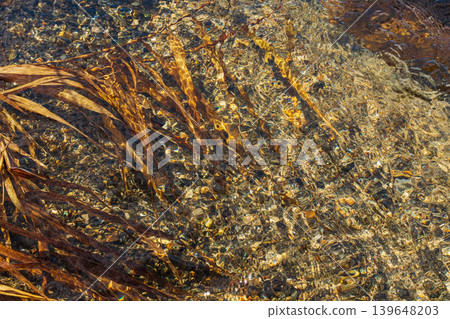 Close-up of a clear stream in early winter 09 Close-up of a clear stream in early winter 09 139648203