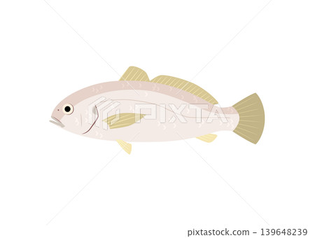 黃花魚插圖 黃花魚插圖 139648239
