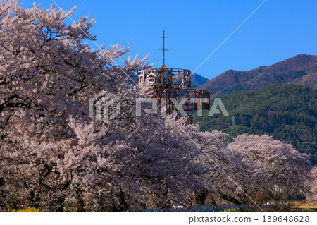 一排櫻花樹[橫川] 139648628
