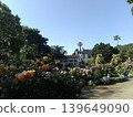 Yokohama Harbor View Park English Rose Garden 139649090
