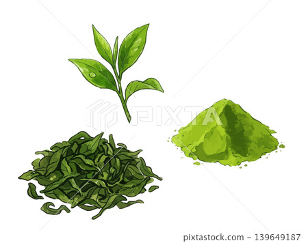 抹茶的誘人插圖 抹茶的誘人插圖 139649187