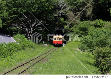 A Kiha train on the Kominato Railway emerges from a tunnel of fresh green leaves. A Kiha train on the Kominato Railway emerges from a tunnel of fresh green leaves. 139649416