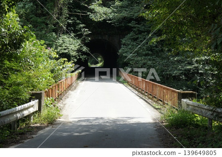 熊本縣森林深處的一條隧道和一座古老的橋樑 熊本縣森林深處的一條隧道和一座古老的橋樑 139649805