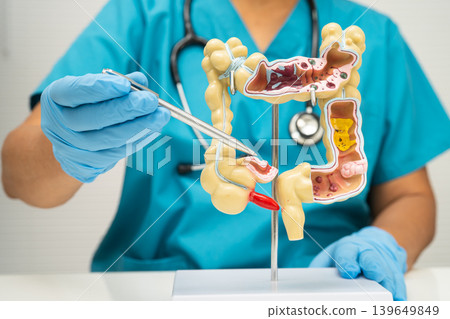 Intestine, Asian woman holding human anatomy model. Intestine, Asian woman holding human anatomy model. 139649849