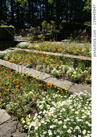 Sunny flower bed Sunny flower bed 139649947