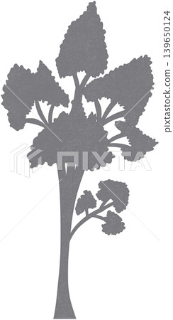 grey plant shadow grey plant shadow 139650124