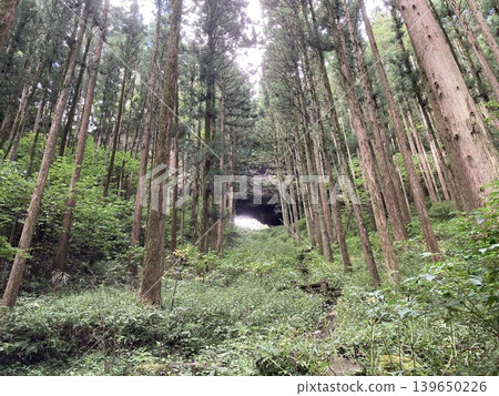 熊本縣高森町上色見熊野座神社的森林與內戶岩 熊本縣高森町上色見熊野座神社的森林與內戶岩 139650226