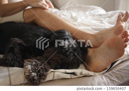 Black dog sleeping near bare feet on a cozy bed at home, peaceful pet companionship, lazy morning, cozy lifestyle, home comfort. Black dog sleeping near bare feet on a cozy bed at home, peaceful pet companionship, lazy morning, cozy lifestyle, home comfort. 139650407