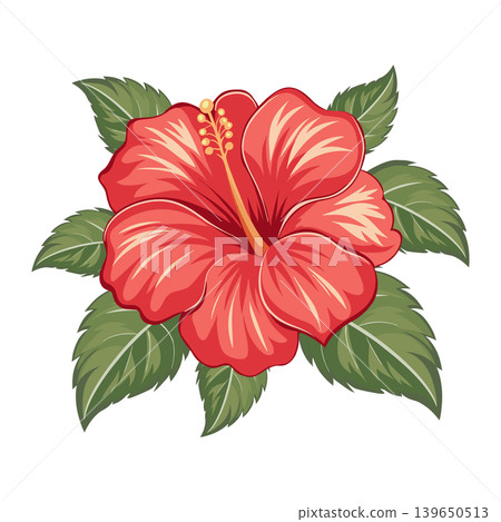 Vibrant Red Hibiscus Flower with Green Leaves on a White Background. Illustration. Vibrant Red Hibiscus Flower with Green Leaves on a White Background. Illustration. 139650513