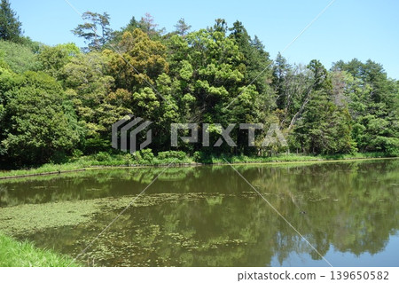 Under the blue sky, a waterside surrounded by greenery Under the blue sky, a waterside surrounded by greenery 139650582