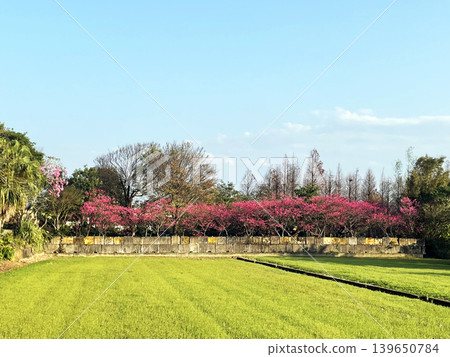 鄉村 139650784