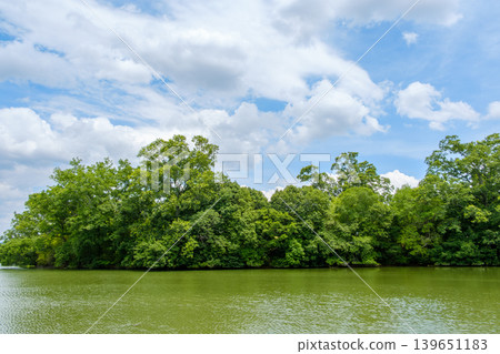 鬱鬱蔥蔥的森林和池塘,藍天白雲,構成了一幅美麗的風景。 鬱鬱蔥蔥的森林和池塘,藍天白雲,構成了一幅美麗的風景。 139651183