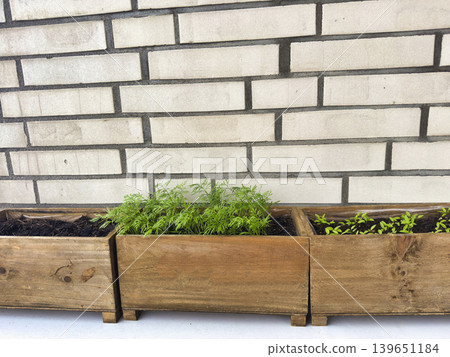 Wooden planter boxes with fresh green seedlings on balcony wall urban gardening sustainable home growing concept Wooden planter boxes with fresh green seedlings on balcony wall urban gardening sustainable home growing concept 139651184