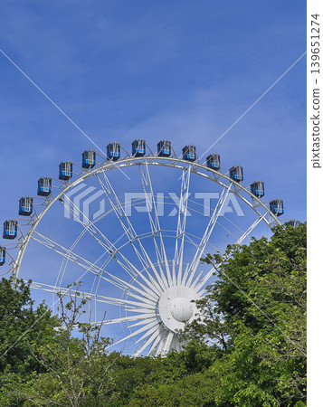 Large white Ferris wheel rising above green trees against deep blue summer sky in amusement park Large white Ferris wheel rising above green trees against deep blue summer sky in amusement park 139651274
