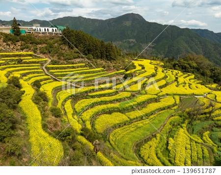 Aerial view of green, terraced rice fields and a traditional village Aerial view of green, terraced rice fields and a traditional village 139651787