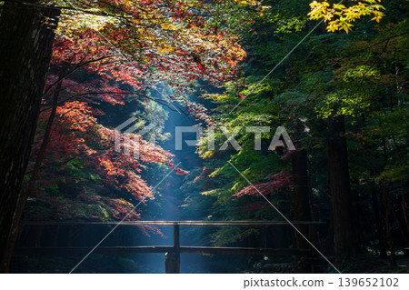 靜岡縣周知郡森町一宮市大國神社及周邊風景 靜岡縣周知郡森町一宮市大國神社及周邊風景 139652102