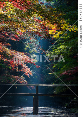 靜岡縣周知郡森町一宮市大國神社及周邊風景 靜岡縣周知郡森町一宮市大國神社及周邊風景 139652111