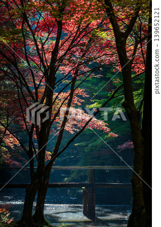 靜岡縣周知郡森町一宮市大國神社及周邊風景 靜岡縣周知郡森町一宮市大國神社及周邊風景 139652121