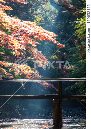 靜岡縣周知郡森町一宮市大國神社及周邊風景 靜岡縣周知郡森町一宮市大國神社及周邊風景 139652133