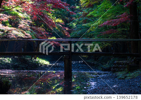 靜岡縣周知郡森町一宮市大國神社及周邊風景 靜岡縣周知郡森町一宮市大國神社及周邊風景 139652178