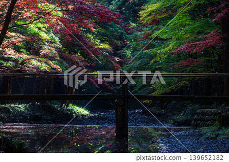 靜岡縣周知郡森町一宮市大國神社及周邊風景 靜岡縣周知郡森町一宮市大國神社及周邊風景 139652182