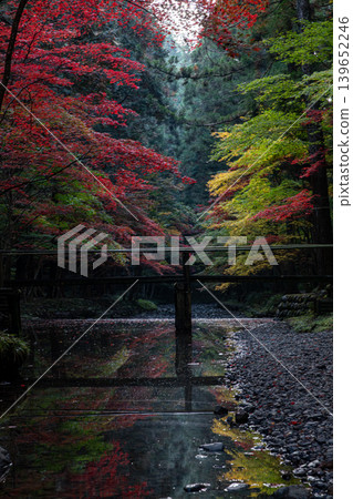 靜岡縣周知郡森町一宮市大國神社及周邊風景 靜岡縣周知郡森町一宮市大國神社及周邊風景 139652246