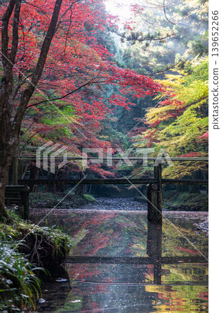 Ichinomiya, Mori-machi, Shuchi-gun, Shizuoka Prefecture Okuni Shrine and the surrounding scenery Ichinomiya, Mori-machi, Shuchi-gun, Shizuoka Prefecture Okuni Shrine and the surrounding scenery 139652266