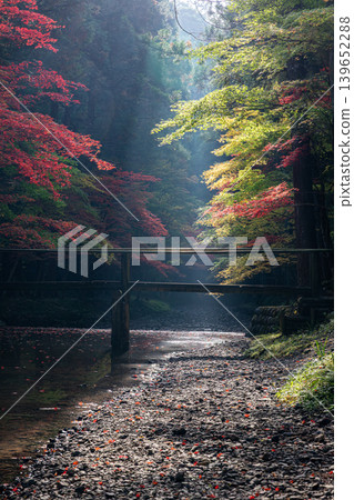 靜岡縣周知郡森町一宮市大國神社及周邊風景 靜岡縣周知郡森町一宮市大國神社及周邊風景 139652288