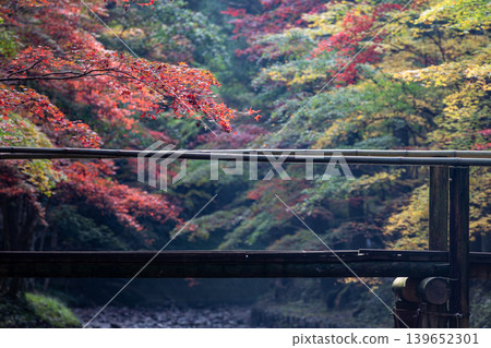 Ichinomiya, Mori-machi, Shuchi-gun, Shizuoka Prefecture Okuni Shrine and the surrounding scenery Ichinomiya, Mori-machi, Shuchi-gun, Shizuoka Prefecture Okuni Shrine and the surrounding scenery 139652301