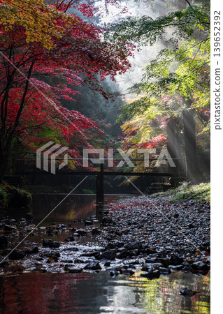 靜岡縣周知郡森町一宮市大國神社及周邊風景 靜岡縣周知郡森町一宮市大國神社及周邊風景 139652392