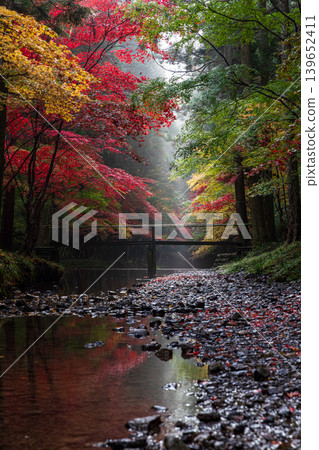 靜岡縣周知郡森町一宮市大國神社及周邊風景 靜岡縣周知郡森町一宮市大國神社及周邊風景 139652411