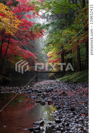 靜岡縣周知郡森町一宮市大國神社及周邊風景 139652415