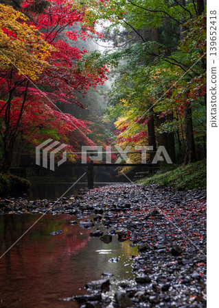 靜岡縣周知郡森町一宮市大國神社及周邊風景 靜岡縣周知郡森町一宮市大國神社及周邊風景 139652418