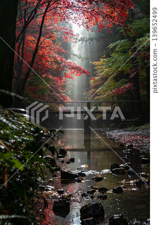 Ichinomiya, Mori-machi, Shuchi-gun, Shizuoka Prefecture Okuni Shrine and the surrounding scenery Ichinomiya, Mori-machi, Shuchi-gun, Shizuoka Prefecture Okuni Shrine and the surrounding scenery 139652499