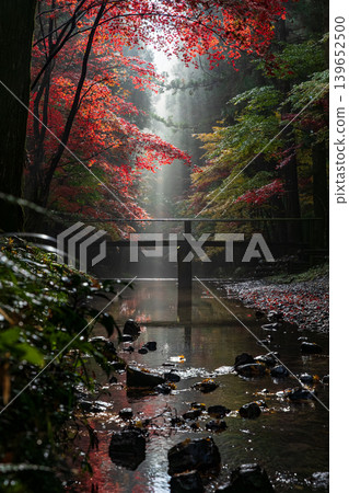 Ichinomiya, Mori-machi, Shuchi-gun, Shizuoka Prefecture Okuni Shrine and the surrounding scenery Ichinomiya, Mori-machi, Shuchi-gun, Shizuoka Prefecture Okuni Shrine and the surrounding scenery 139652500