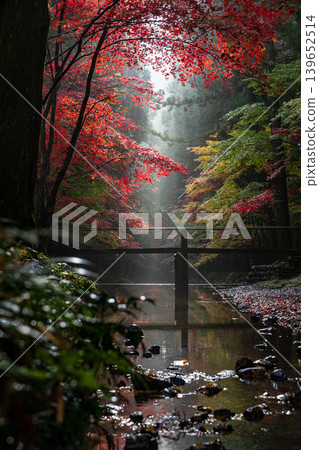 靜岡縣周知郡森町一宮市大國神社及周邊風景 靜岡縣周知郡森町一宮市大國神社及周邊風景 139652514
