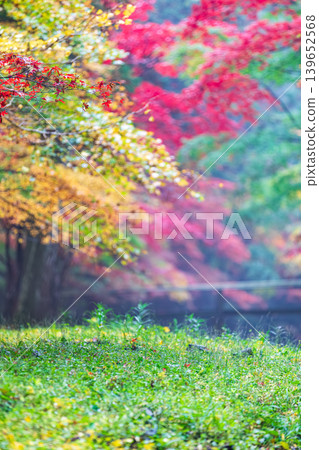 Ichinomiya, Mori-machi, Shuchi-gun, Shizuoka Prefecture Okuni Shrine and the surrounding scenery 139652568