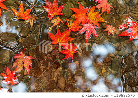 Ichinomiya, Mori-machi, Shuchi-gun, Shizuoka Prefecture Okuni Shrine and the surrounding scenery Ichinomiya, Mori-machi, Shuchi-gun, Shizuoka Prefecture Okuni Shrine and the surrounding scenery 139652570
