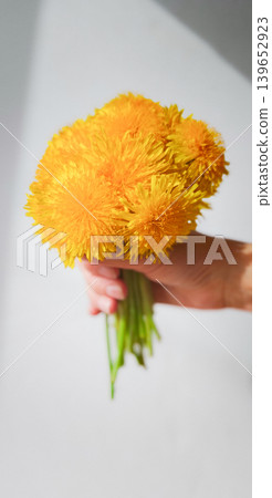 Bright yellow flowers held in hand on a light background during the day Bright yellow flowers held in hand on a light background during the day 139652923