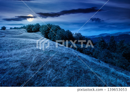 carpathian mountain field at night. mysterious view of countryside summertime landscape with valley behind the forest on the hill. full moon over clouds on a sky. travel background for hiking season carpathian mountain field at night. mysterious view of countryside summertime landscape with valley behind the forest on the hill. full moon over clouds on a sky. travel background for hiking season 139653053