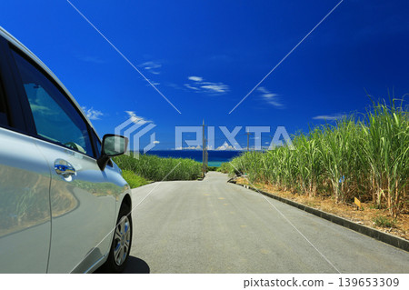 Okinawa, Yomitan Village, A road through sugarcane fields leading to the sea 139653309