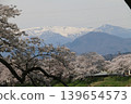 A thousand cherry trees in a single view, in collaboration with the snow-capped Zao mountain range. 139654573