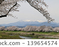A thousand cherry trees in a single view, in collaboration with the snow-capped Zao mountain range. 139654574